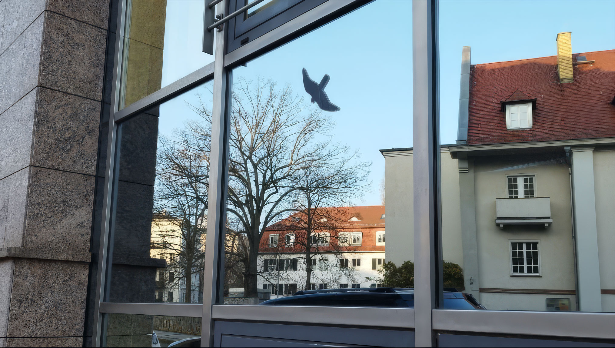 Die Umgebung spiegelt sich und täuscht die Vögel