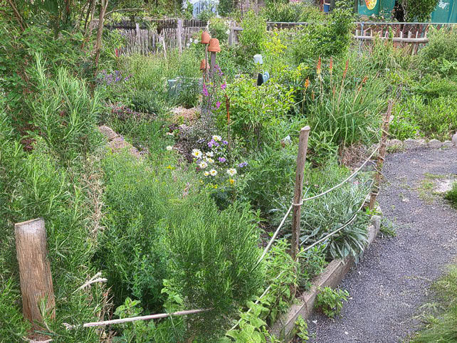 Naturnaher Kleingarten in Leipzig