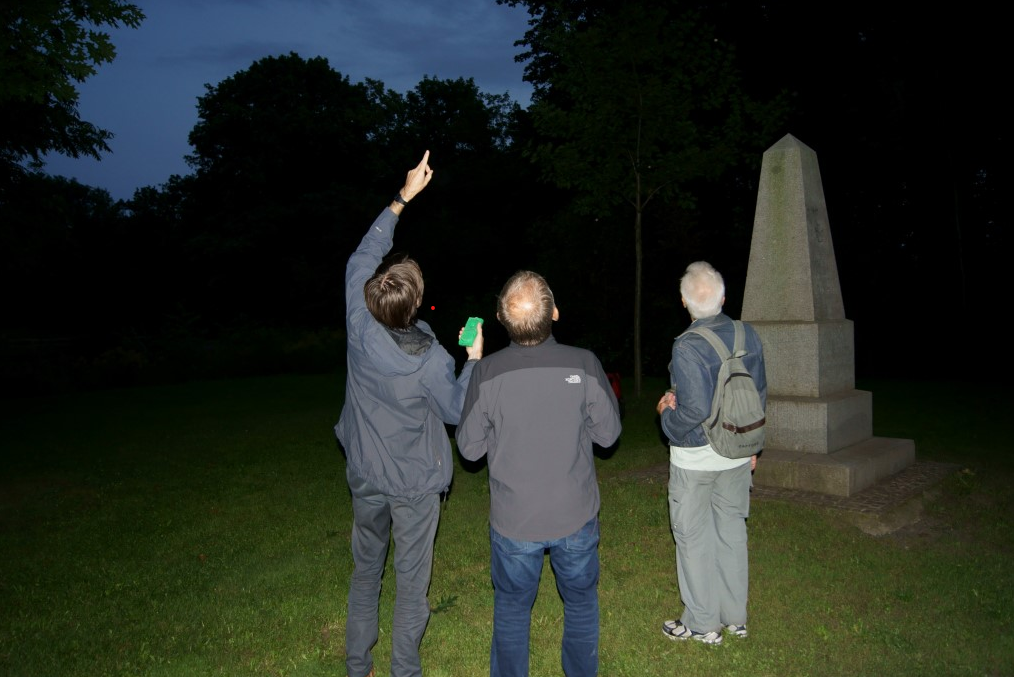 Zwergfledermaus in der Hand eines Experten