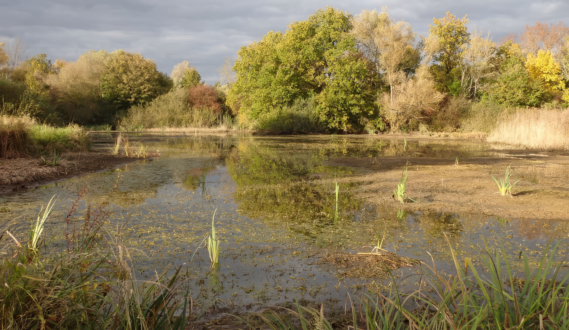 Gemeinsam für die Natur in unserer Stadt