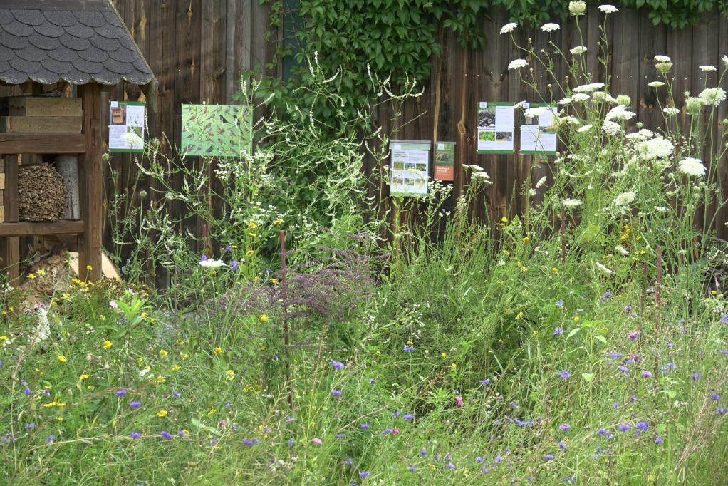 Insektenhotel in einem Garten