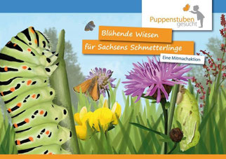 Schmetterlingswiese in Leipzig
