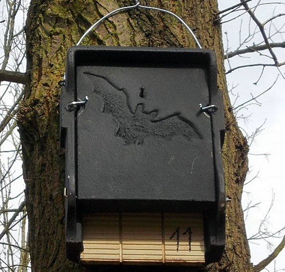 Fledermauskasten